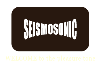 Enter Seismosonic 
